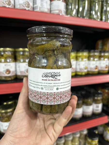 ورق عنب محشي لبنه بلديه