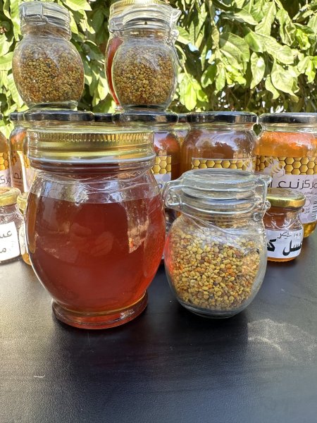 عسل السدر الطبيعي 100%غير معالج حراريا 500غم