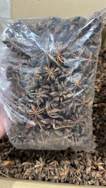 يانسون النجمه العضوي